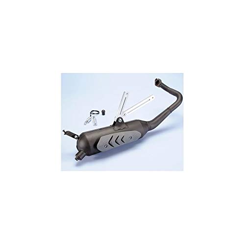 Escape POLINI Original Kymco People 2TPS con silencioso optimizado
