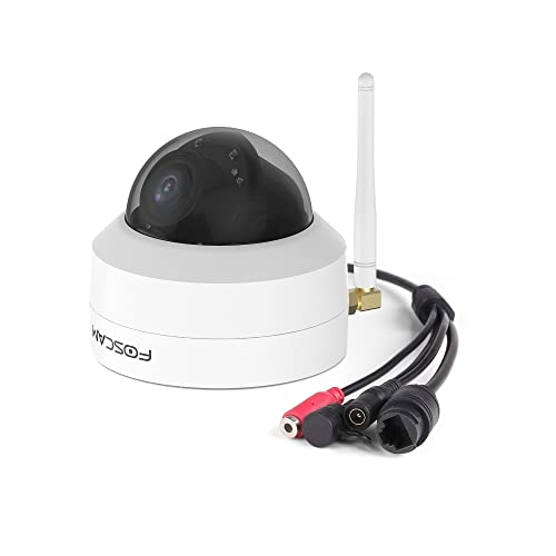 Foscam D4Z Cámara Vigilancia PTZ 4