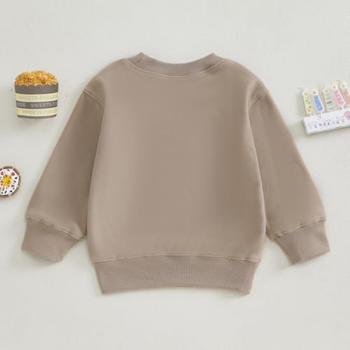 Toddler Baby Boy Girl One/Two Years Birthday Outfit Long Sleeve Embroidery Sweatshirt Shirt Crewneck Pullover Tops3
