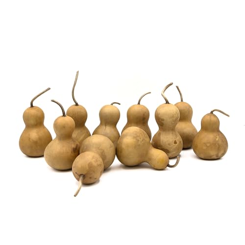 Box of 10 Bottle Gourds - 2" in Diameter, Dried Gourds for Crafting and Decorating