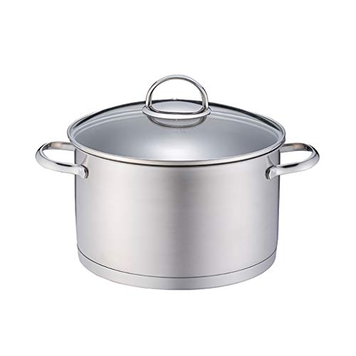 HEAVY Puchero, Olla de Acero Inoxidable Olla de cocción con Tapa de Vidrio y Dos Asas a Prueba de Calor, sin revestir, de fácil Limpieza (Size : 22 * 12cm)