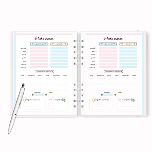 Planner Financeiro Permanente - Organize As Finanças