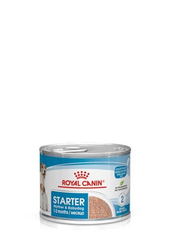 Royal Canin Starter Mousse 12 x 195 GR