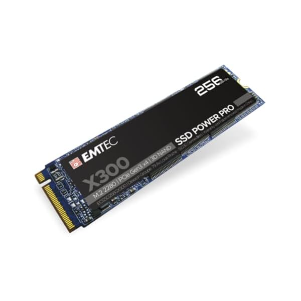 Emtec X300 M.2 SSD Power Pro 256 GB M.2 2280 NVMe PCIe Gen 3.0 x4