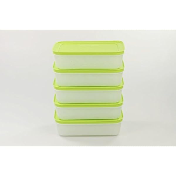 TUPPERWARE diepvriesdoos 1,0 L groen-wit vlak (5) ijskristal ijskristal