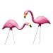Bloem Pink Flamingo Garden Yard Statue 2-Pack (G2)