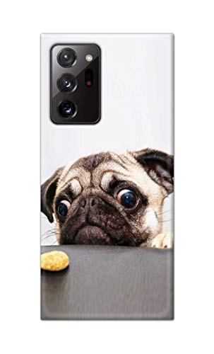 Image of PRINTFIDAA� Printed Hard Back Cover Case for Samsung Galaxy Note 20 Ultra 4G | Note 20 Ultra 5G Back Cover (Pug Dog) -2808