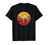 Awesome Camel Tees