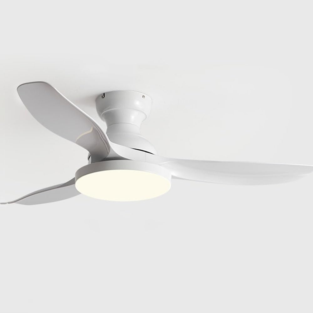 Ventilateur de plafond lumière pour chambre et restaurant avec minuterie silencieuse