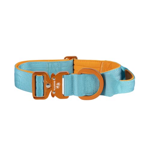 Duggyta Orange Teal Heavy Duty Dog Collar – Wide Nylon
