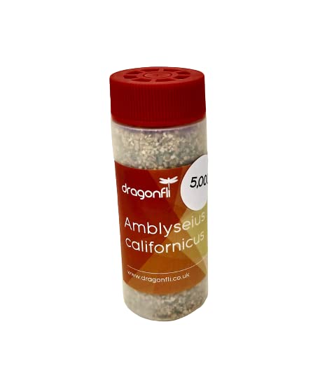 Dragonfli Spider Mite Killer - Amblyseius californicus - Predators In Loose Carrier Material (5000)