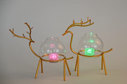 Glass Planter Vase, Plant Terrarium With Metal Stand, Air Plant Holder, Geometric Modern Gold Planter Pot- Indoor Decorative Flower Pot #TOP2