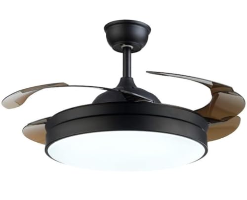 MCLIUJIA Ventiladores para El Techo con Lámpara Ventilador De Techo Moderno, Lámpara Invisible De Hoja Acrílica con Motor Silencioso De Cobre Puro, Lámpara Decorativa(48 Inch)