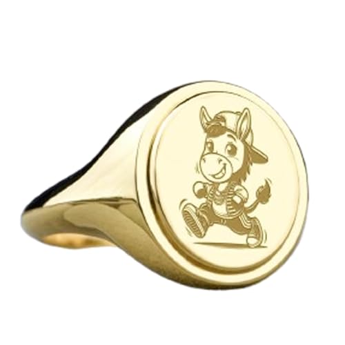 Bague âne argent 925 et chevalière ovale plaquée or pour homme taille 5-12.5