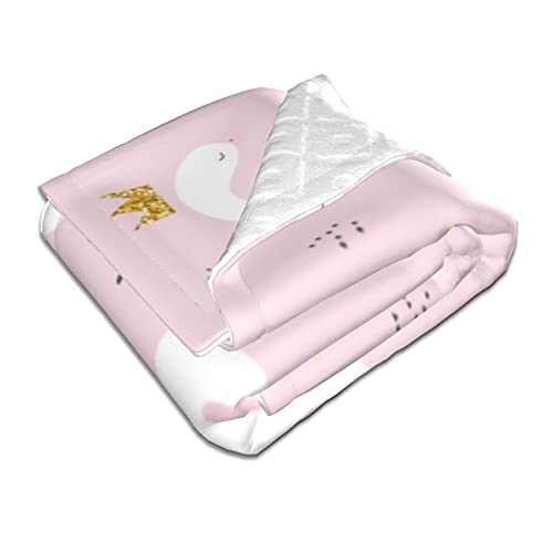 Duduho Cute Childish Swan Princess Baby Blankets Soft Warm Fuzzy Plush Bed Throw Blanket For Newborn Infant Toddler Girls Boys Kids, 30"X40" #TOP1