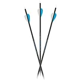 Carbon Express Predator Archery Arrow Shafts .500 Spine - 12 Pack Shafts, Black