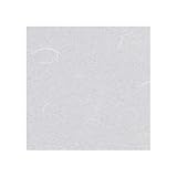 ワーロン ワーロンシート(薄雲竜) スタンダードタイプ 強化障子紙 0.2×930×1850mm （No.2-15G）