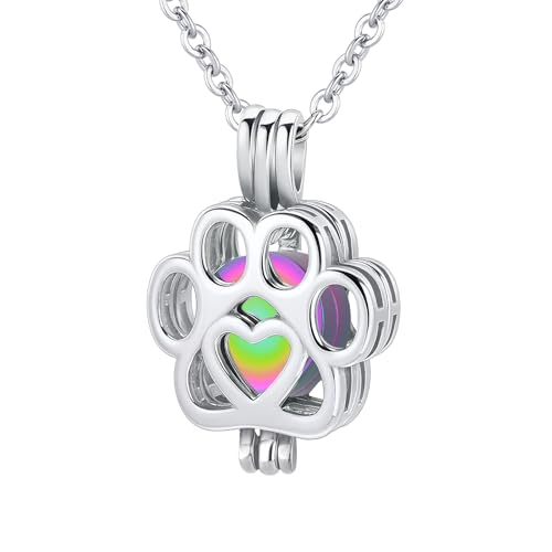 Collier d'urne pour animaux de compagnie personnalisé pendentif patre de chien