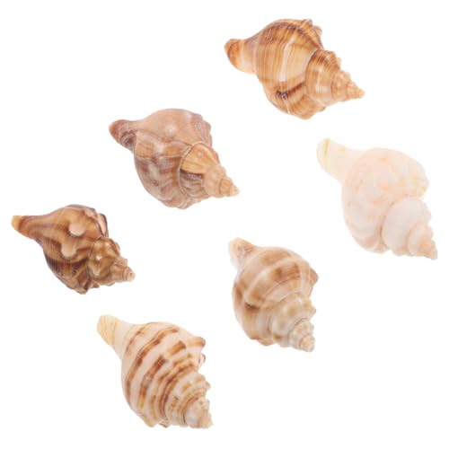 6 L̐ ̑ ƃuPbg uPbgoXPbg e[uu[` whJ u[` hJ̊k قL VRL VRL Lk R` CIMAXIC