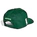 adidas Unisex-Adult Host Snapback Cap, Amazon Green/White, One Size