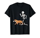 Funny Halloween Party Dog Designs