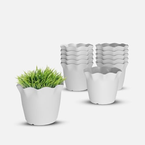 Image of YUCCABE ITALIA SHERA 4 Inch Plastic Flower Pot 12 Piece Set of Unbreakable Round Shape Planter for Home Garden Seedling, Indoor and Outdoor (White)