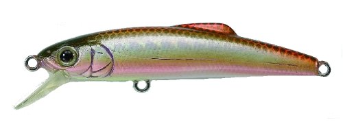 タックルハウス ミノー バフェット S 55mm 3.4g アブラハヤ #12 S55 ルアー