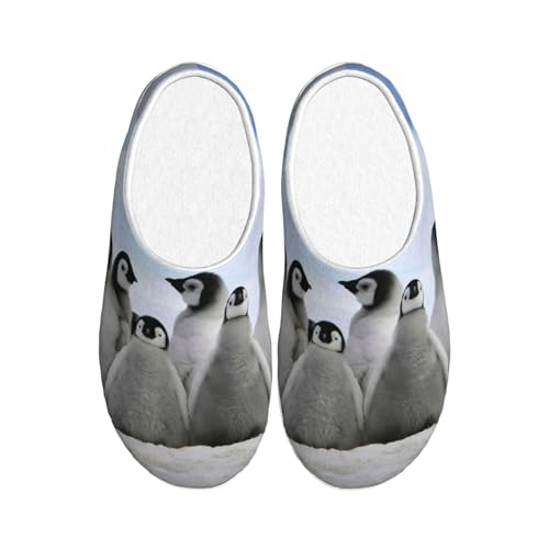 Pantoufles d'hiver chaudes EdWal en peluche noire motif pingouin taille 39 EU