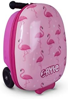 Amazon.com: Zinc Flyte Unisex Youth 