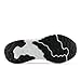 New Balance Women's Fresh Foam Arishi V4 Running Shoe, Nb White/Silver Metallic/Black, 8 W