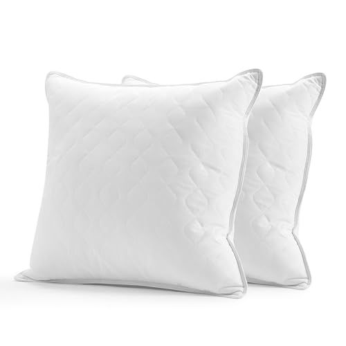 Deodar Oreillers en Plumes d'oie 65x65 cm Lot de 2, 100% Remplissage Duvet et Plumes d'oie, Oreiller de Lit pour Dormir, Lavable, Certifié Öko-Tex et RDS, Blanc