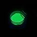 TOOGOO 12boxes/set Neon Phosphor Powder Nail Glitter Powder 12 Colors Dust Luminous PiGMent Fluorescent Powder Nail Glitters Glow in the Dark