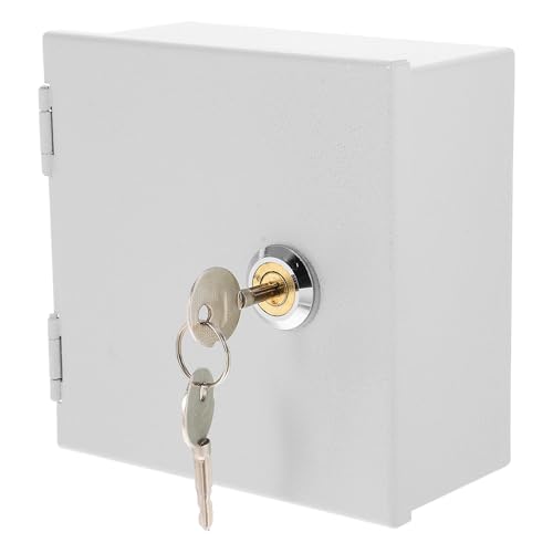 ABOOFAN Boîte de Verrouillage Sécurisé pour Prises Électriques en Acier Inoxydable Argenté, en et Encastré pour Utilisation Extérieure