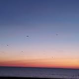 Fahrkarte für den Bus, wie geht das?