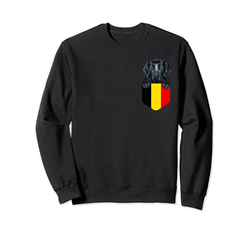 Belgium Flag Flat-Coated Retriever Dog In Pocket Sweatshirt, Black