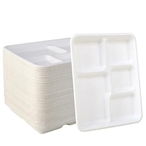 Vplus 500 Pack 5 Compartment Plates, 100% Compostable Paper Plate, 10.25 * 8.5 inch Disposable School Lunch Trays, Eco-Friendly Bagasse Plates for School Lunch, Buffet, and Party, Perfect for Kids