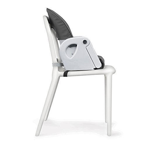 Chicco Polly Progress Relax 5-In-1 Highchair - Springhill | Black #TOP3