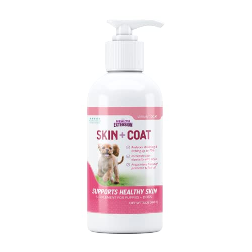 Top 10 Dog Foods That Help Control Shedding A Comprehensive Guide top-10-dog-foods-that-help-control-shedding-a-comprehensive-guide