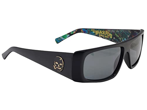 BLACK FLYS Sunglasses STOOPID FLY/Slightly Stoopid/Album art sunglass2