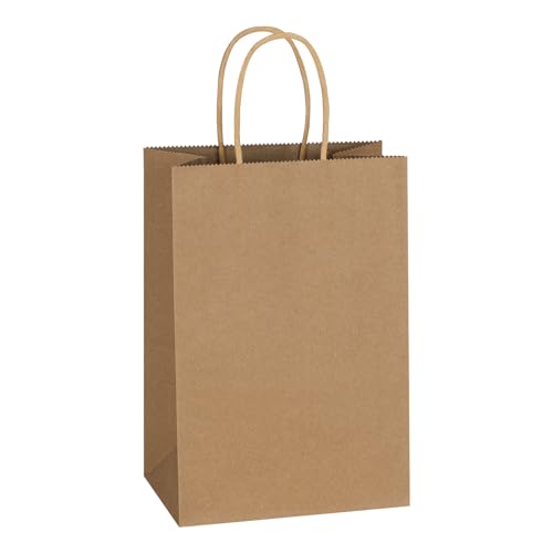 Mlyta 100 Pack 5.25x3.25x8.5 Inch Plain Small Brown Kraft Paper Gift Bags with Handles Bulk for Goodie Party Favor Brithday Grocery Shopping Business Wedding Retail Craft Treat Merchandise Sacks