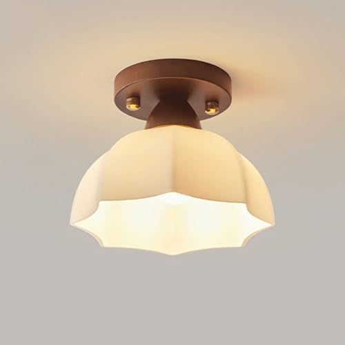 YNAHZAOK Lampada Da Soffitto Moderna Con Attacco E26, Apparecchio Di Illuminazione Per Interni Vicino Al Soffitto, Paralume In Vetro Da 7,8 Pollici Di Diametro, Plafoniere Minimaliste Per Soggiorno