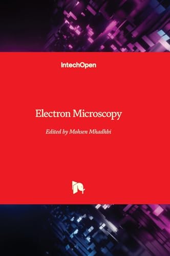 Electron Microscopy view 2