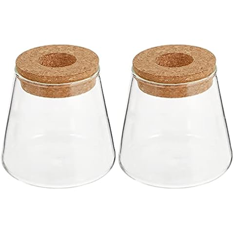 Cabilock 2Pcs Glas Pflanzer Hydro Vase Cover