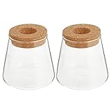 Cabilock 2Pcs Glas Pflanzer Hydro Vase mit Holz Deckel Pflanzer Birne Glas Vase Propogation Station für Hydrokultur Pflanzen Home Büro Garten Dekoration