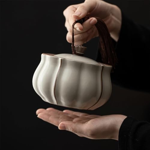Boîte à thé céramique chinois pour conservation café sucre et épices