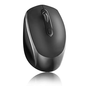 Wireless Bluetooth Mouse, 2-in-1 (2.4GHz+BT5.2) Ergonomic Portable Optical Mice, Cordless Rechargeable Slient Mouse for Computer Laptop, 1600DPI, Computer Mouse for Office, Black