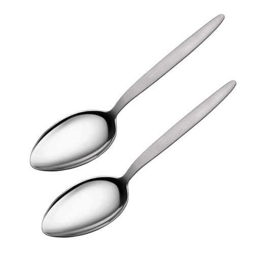 CURISEW 2-Pack Chef Kunz Spoon | Silver Stainless Steel 2 Tbsp Basting Spoon, 9 Inch Solid Sauce Spoons, Big Serving Spoons Stainless Steel, Plating & Quenelle & Cooking