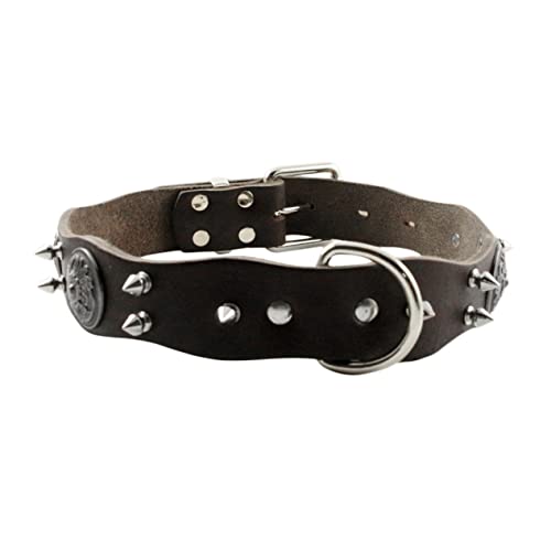 Collier cuir pour chien d'excellence, finition soignée Mikikit XL
