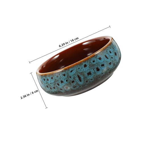 Pot de fleur hydroponique céramique jonquille et lotus d'eau