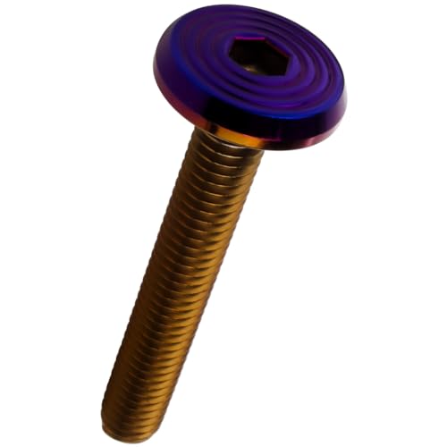 M6×40mm P1.0 �{�^���{���g SUS304 �X�e�����X �V�F�� �t���b�g�w�b�h �Ă��`�^�� 4�{�Z�b�g�J���[